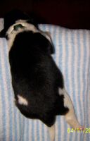 ws_ruede_gruen2 (2).JPG